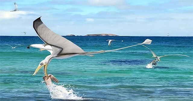 Pterosaurs missed ancient ink