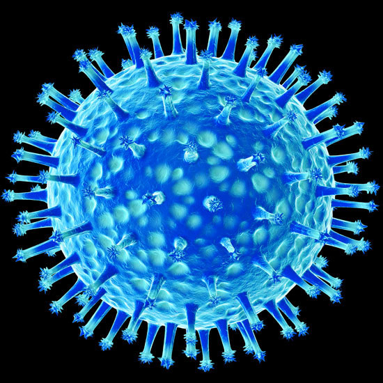 Published the first study material on the new influenza virus