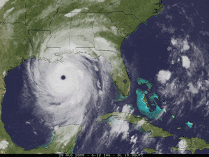 Pull out five major storms from the list