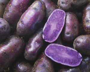 Purple potatoes