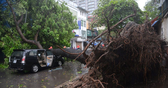 Pushing on the door, my father saved my daughter from the car and was hit by an old tree