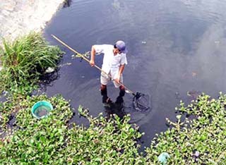 Quang Ngai: The risk of a new dengue outbreak