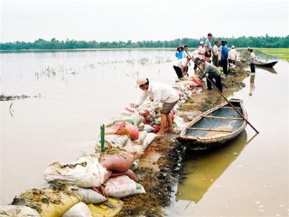 Quang Tri: heavy rain causes heavy damage