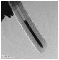 Quantum dots and quantum rods help treat cancer
