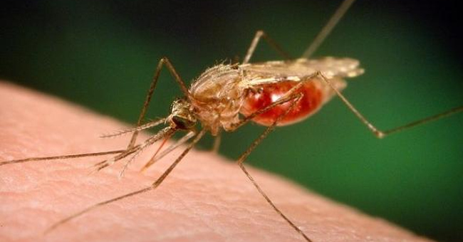 Quick solution when being bitten by insects
