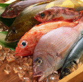 Quiet assassin from mercury-contaminated fish