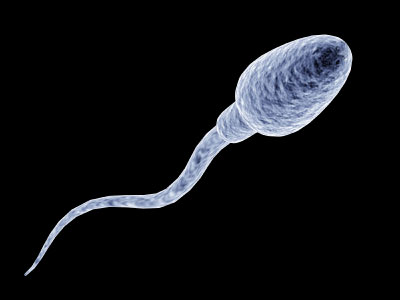 Race sperm
