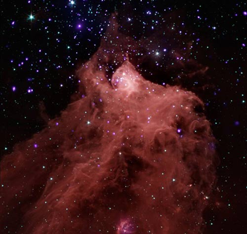 Radiation stimulates star formation