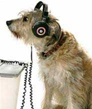 Radio for dogs and cats