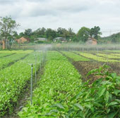 Rain sprinkler technology uses solar energy