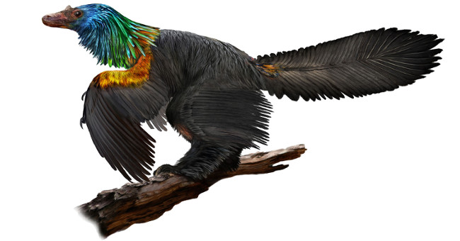 Rainbow dinosaurs have colorful fur