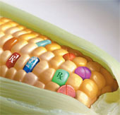 Raising awareness about genetically modified organisms