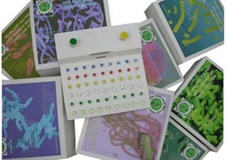 Rapid detection of bacteria that cause food poisoning