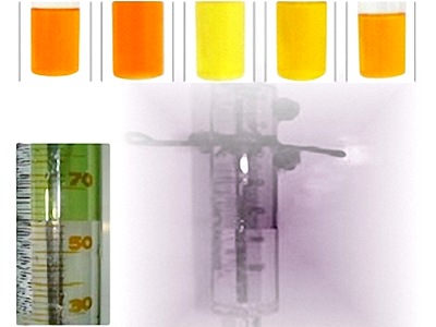 Rapid detection of gasoline contaminated with acetone with ... vanilla