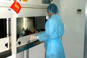 Rapid test does not diagnose H5N1