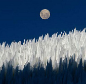 'Rare and difficult to find' natural phenomena