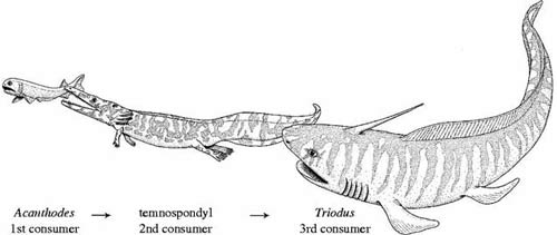 Rare discovery of fossils in fossils