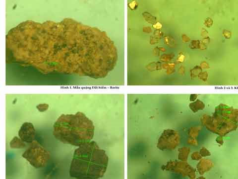 Rare earth research: Where is Vietnam?