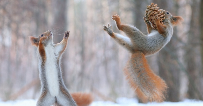 Rare moments show that life has more strange things than novels