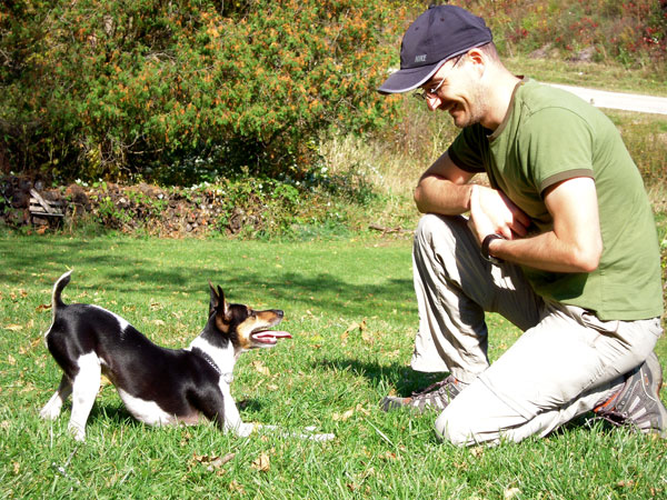 Real damage to the 'telepathy' between people and pets