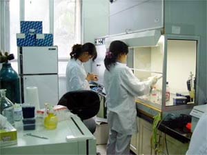 Receiving many samples of suspected H5N1 virus