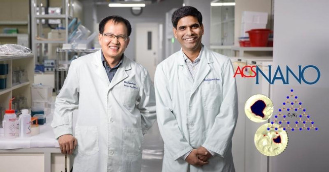 Reconstructing bone from bone marrow cells and carbon materials
