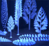 Recreate the 3-dimensional structure of the oldest animals on earth
