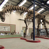 Recreate the dinosaur's walk after 94 million years