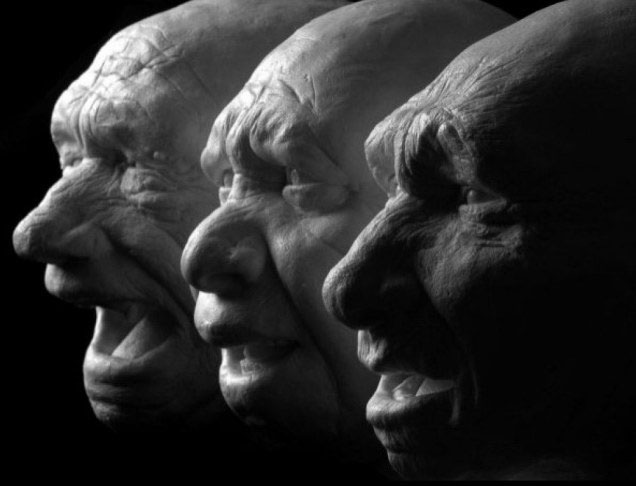 Recreate the human face 7 million years ago