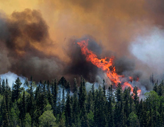 Red alert of the risk of Southwestern forest fire in the United States