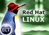 Red Hat patched a series of security flaws in Linux