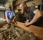Rediscover the 6,500-year-old remains