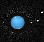 Rediscover the missing moon of Neptune