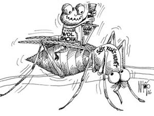 Reduce dengue fever with bacteria