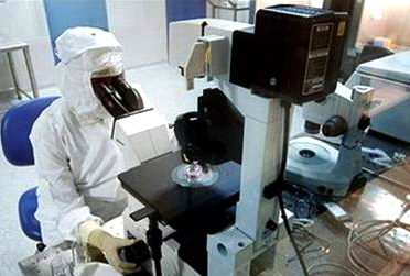 Regenerating stem cells from mouse skin