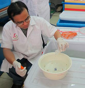 Registering to patent vaccines for fish