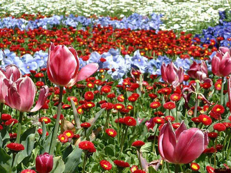 Relax with flowers