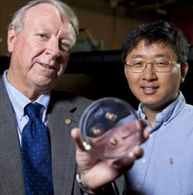 Release of metamaterials caught in ammunition