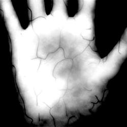 'Reliable' palms than fingers