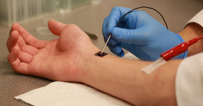 Reproduce the organ with a chip