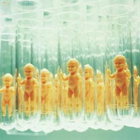 Reproduction does not need sex