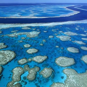 Rescue coral reefs worldwide