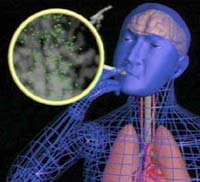 Research demonstrates the role of nicotine in smoking