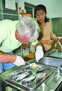 Research growth vaccines for catfish