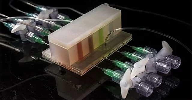Research microflora with artificial gut