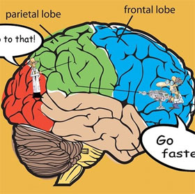 Research shows that the brain has a system of anti-distraction