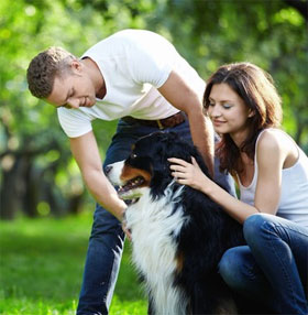 Research shows that the personality is 'unpleasant' in dog lovers