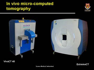 Researching human ancestors with a tomography machine