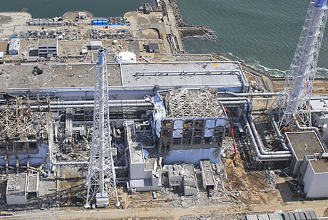 Researching organisms around Fukushima I power plant