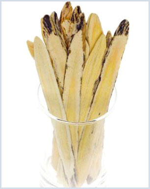 Resistance against HIV with royal tree roots